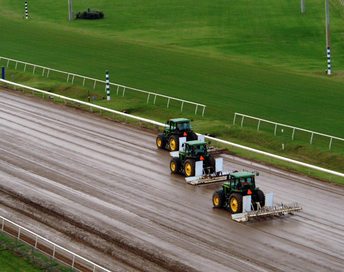 iberdrola agricultura ganadería