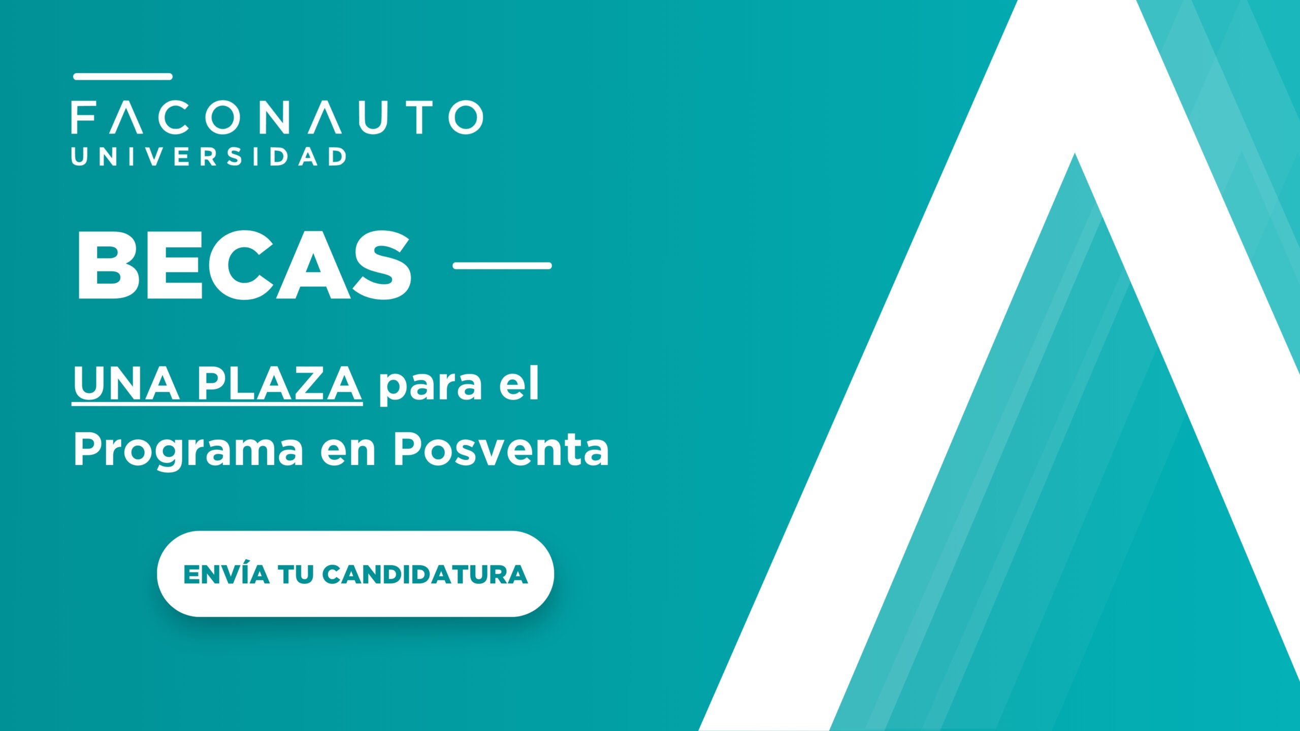 Beca para el Programa en Gestión de la Posventa Faconauto