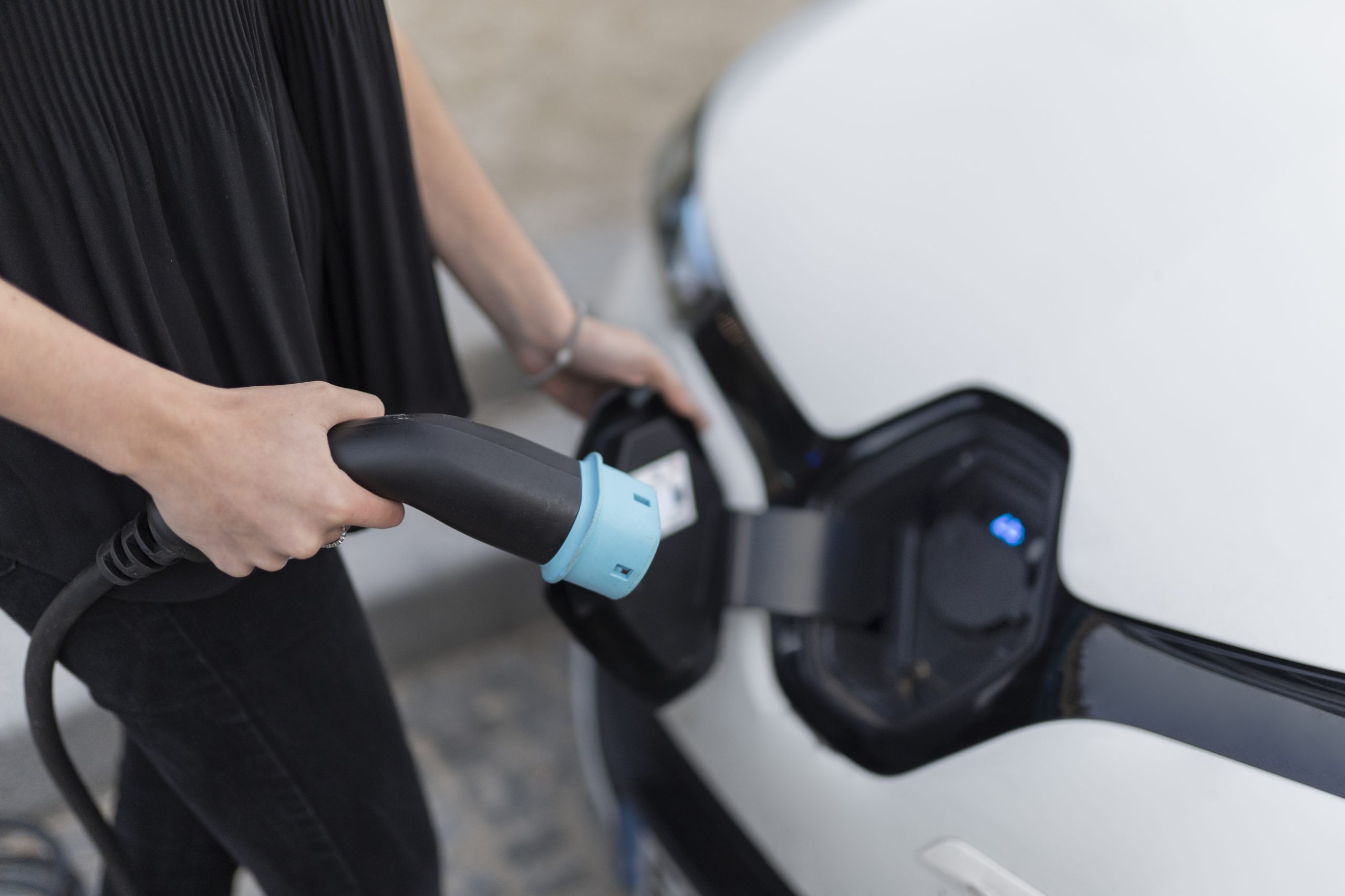 Parque mundial coches eléctricos 2024