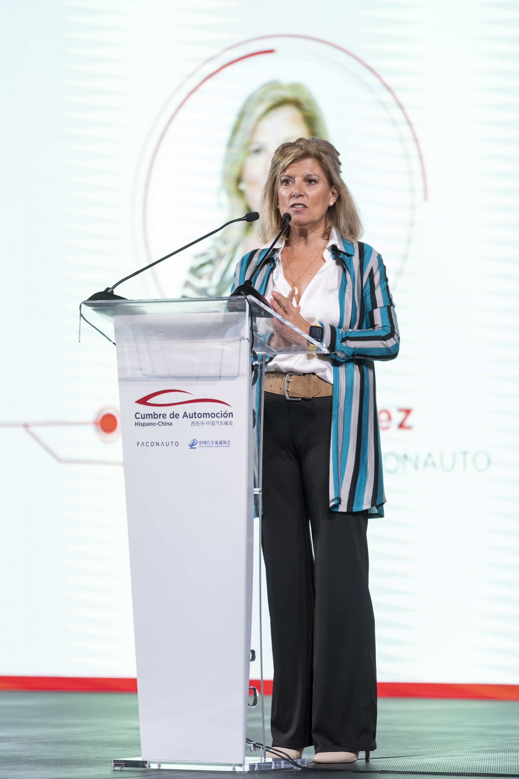 Cumbre de Automocion Hispano-China Vicepresidenta Faconauto