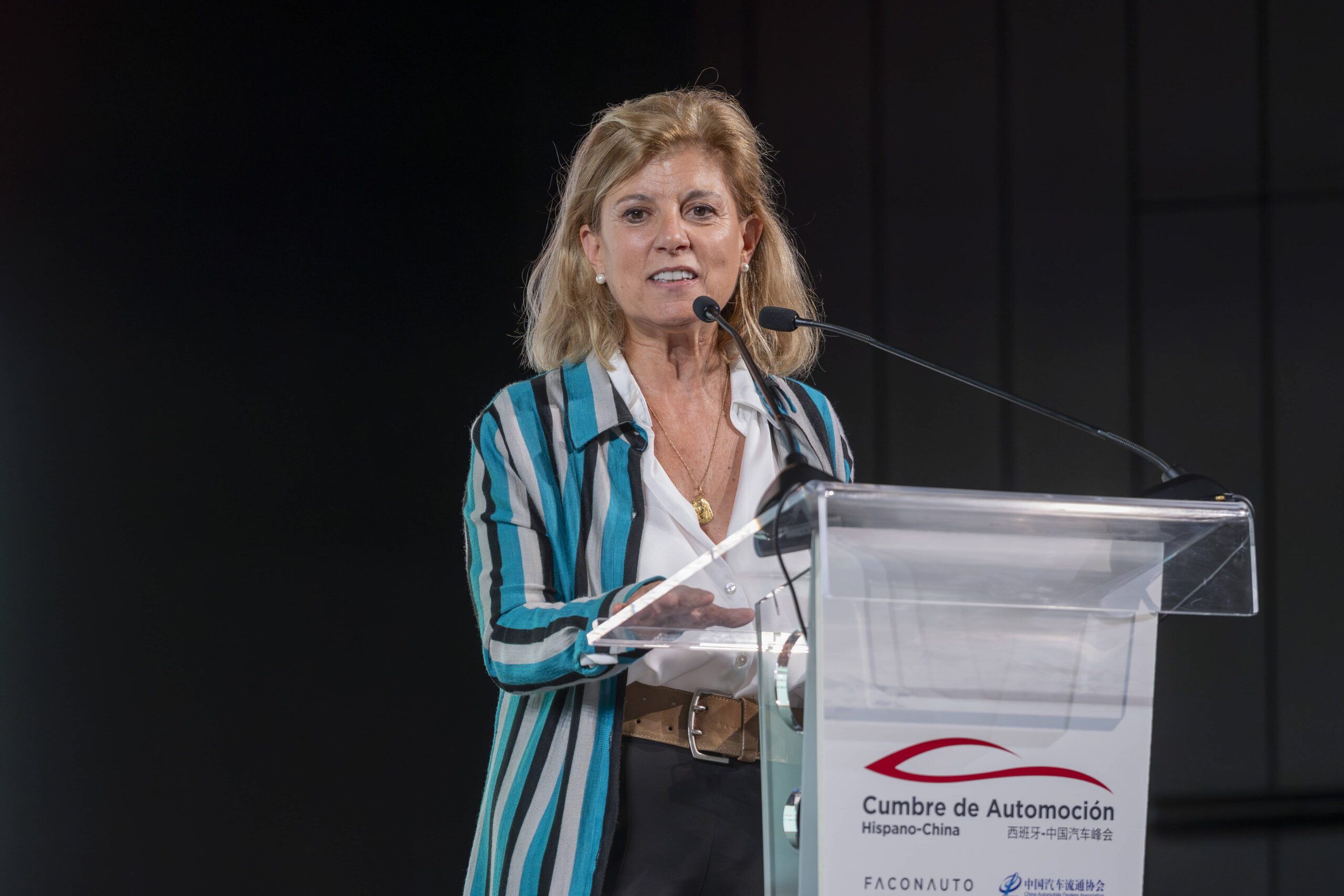 Cumbre de Automocion Hispano-China 2024