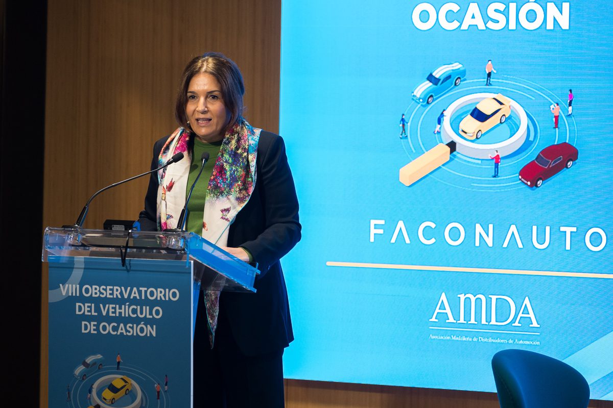 VIII Observatorio del Vehículo de Ocasión 2024