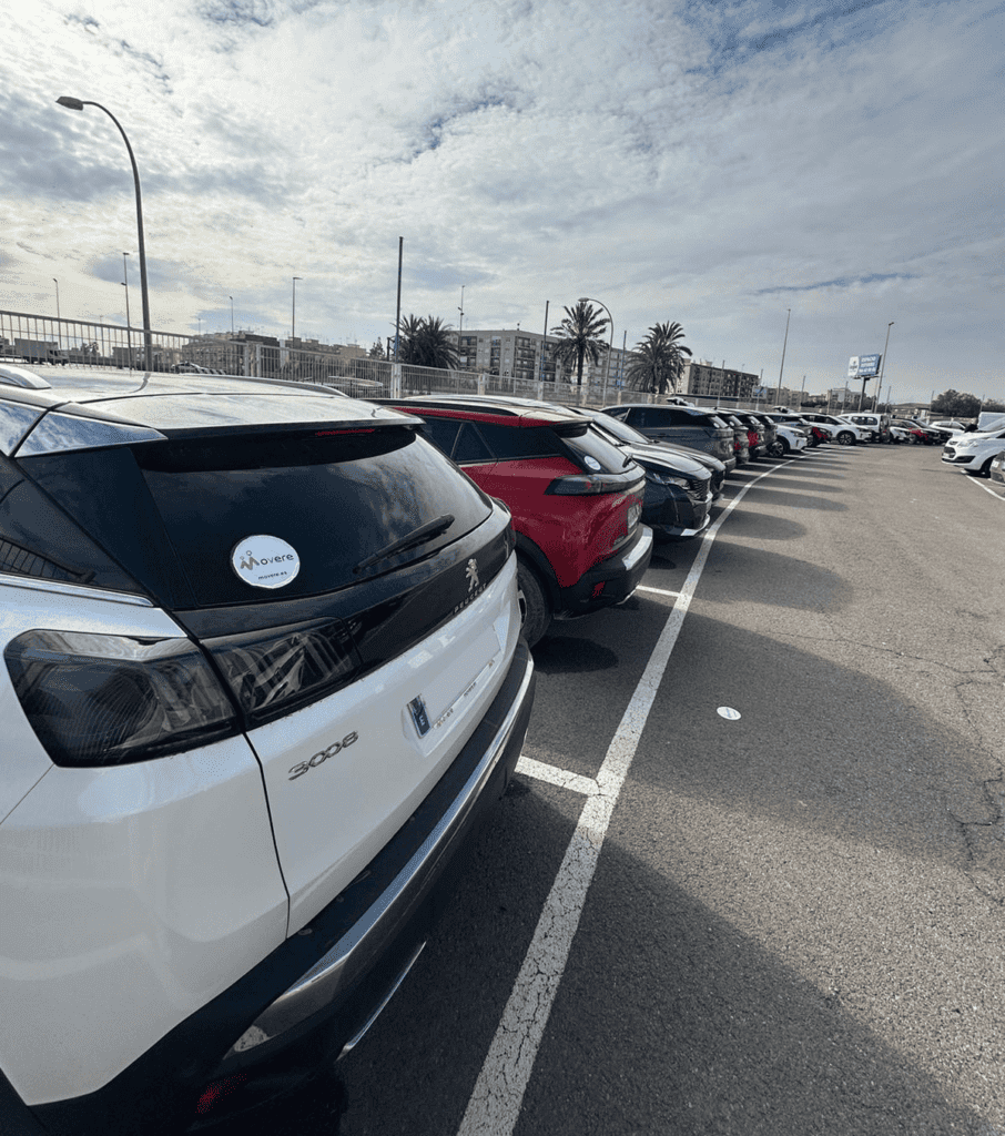 Donaciones DANA concesionarios de Peugeot y Opel